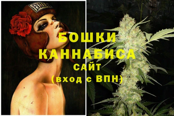 дурь Осташков