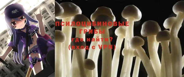 тгк Алзамай