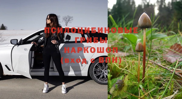 тгк Алзамай