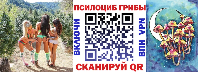 ОМГ ОМГ как зайти  где купить наркоту  Чердынь  Галлюциногенные грибы ЛСД 